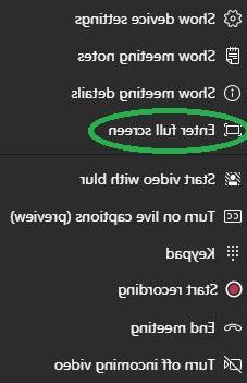 meeting full screen menu option