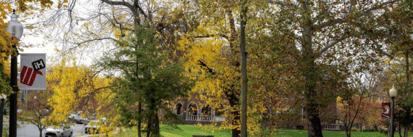 Wittenberg Banner