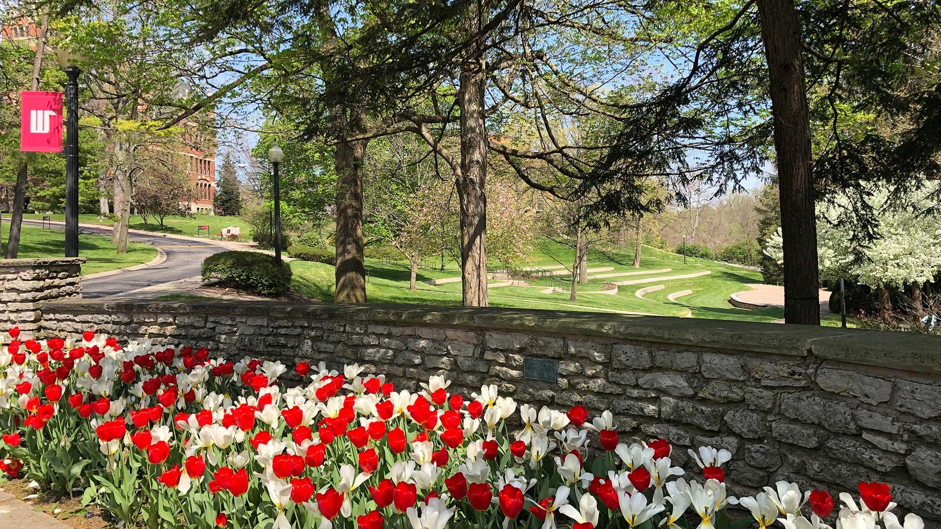 Spring Flowers University Entrance