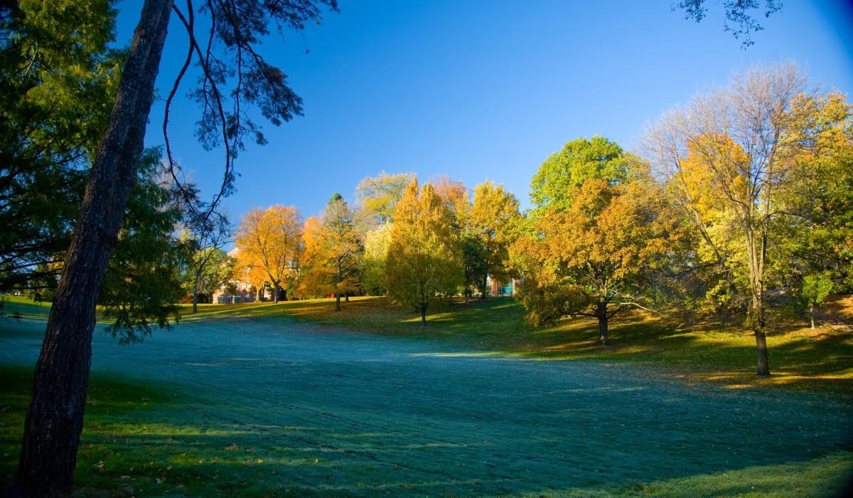 Myers Hollow brisk morning