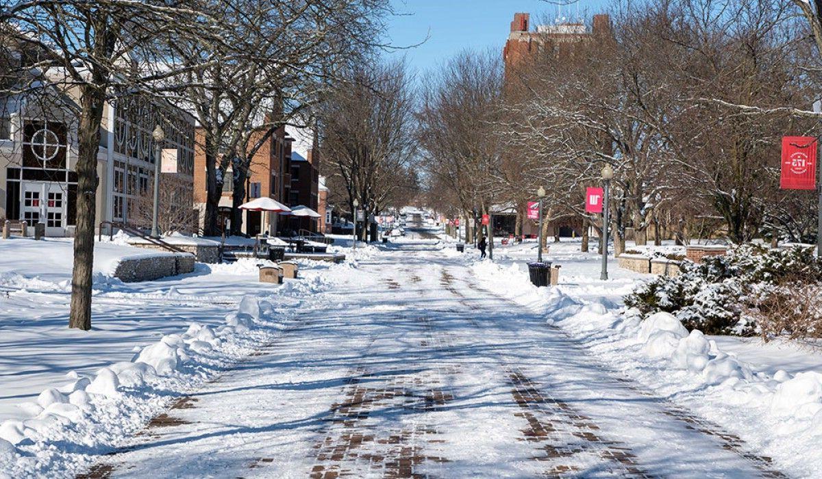 Alumni Way in Winter