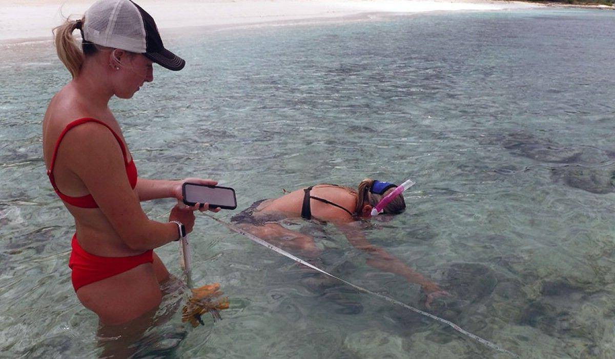 students looking for brittle stars for their research