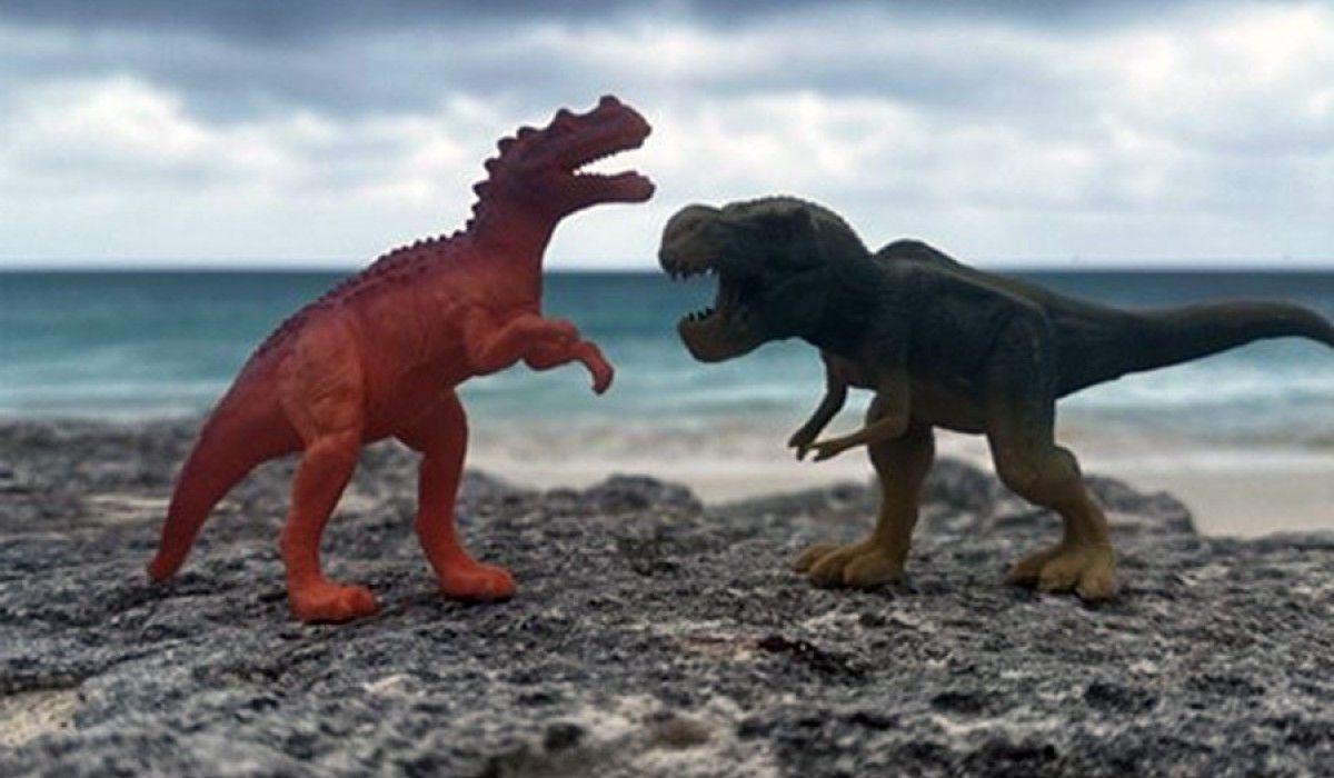 Dino Toys On Beach