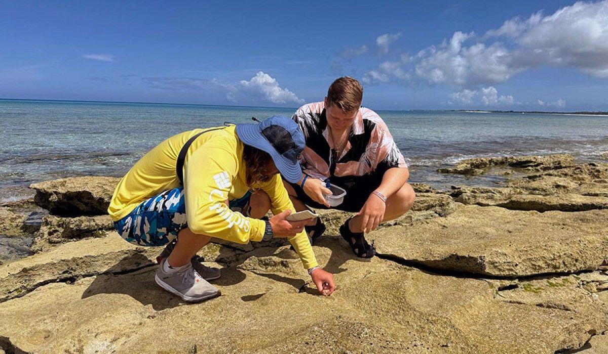 students watching snails move for their research project